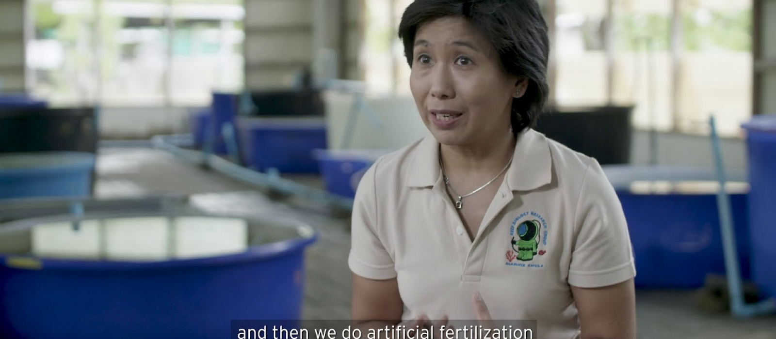 Our Impact: Bringing life back to the reef